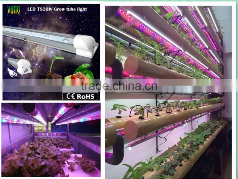 Hot seller 20w 660nm 450nm blue hydroponic led grow light bube with good price