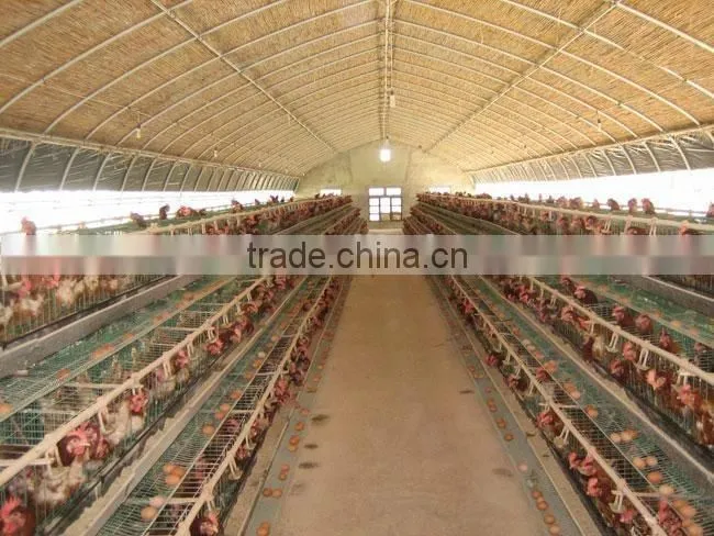 Low cost tunnel greenhouse for poultry farming equipment