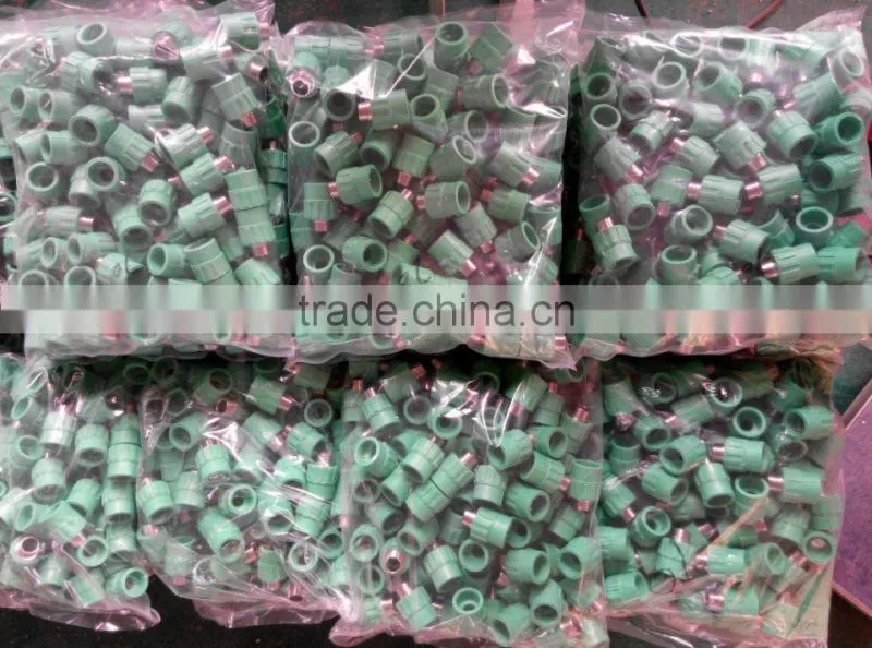 Professional supply ppr equal coupling, ppr socket, PPR pipe adaptor