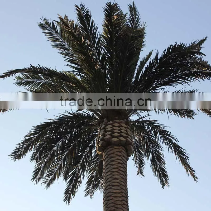 GNW APM012-4 fake 5m high artificial palm tree for decorations