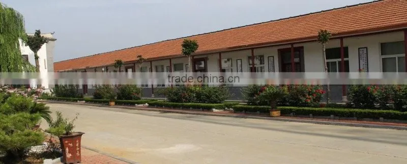 Laizhou Xintian HRS52-1 Flat Roller Stand