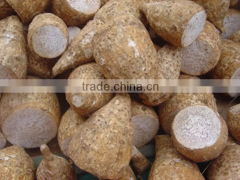 Vietnam Diced Shape Frozen Taro Root Products
