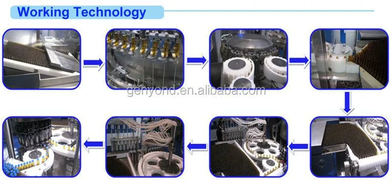 Complete Mint Extract Processing Machine / Mint Juice Processing Plant