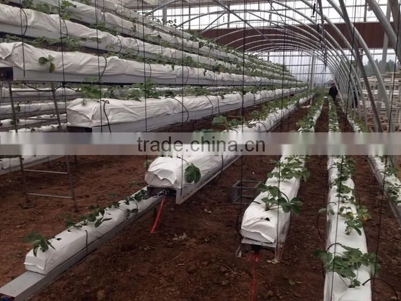 single span galvanized hoophouse