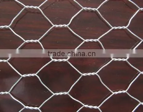 hex netting