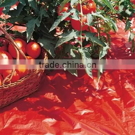 clear mulch film in rolls,plants growing anti weed film,LLDPE mulching film