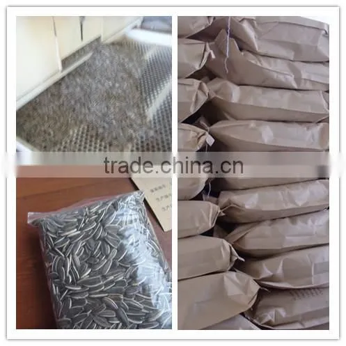 inner mongolia sunflower kernels