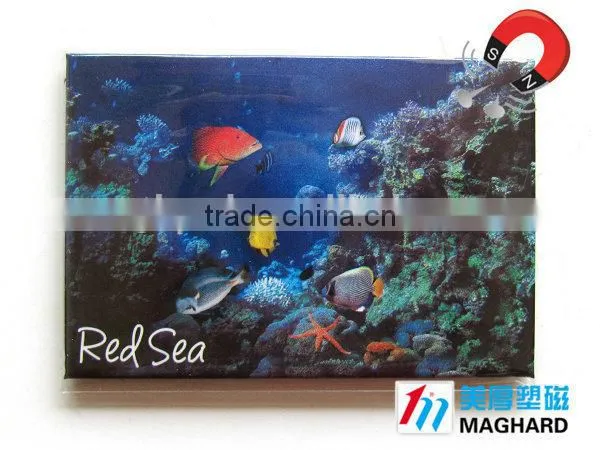 New tourist souvenir iron fridge magnet