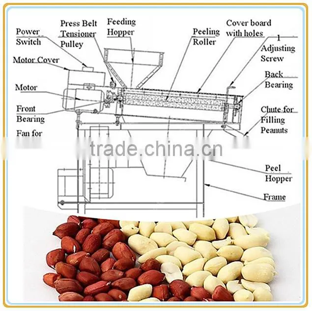 wet type fresh peanut red skin removing machine, roasted almond peeling machine with low price