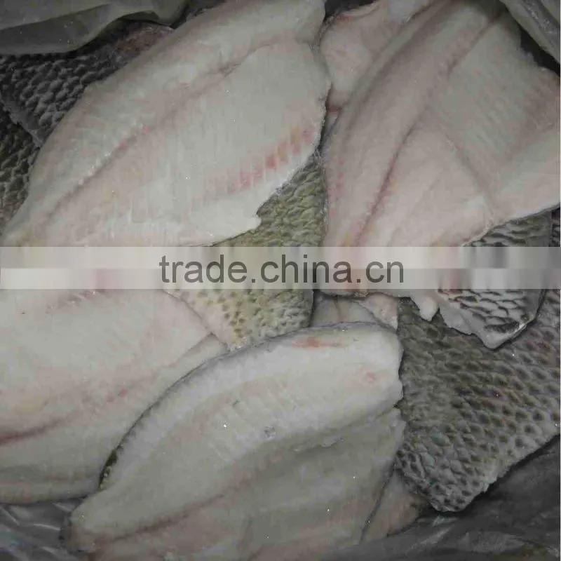 Frozen tilapia fish fillet skinless china