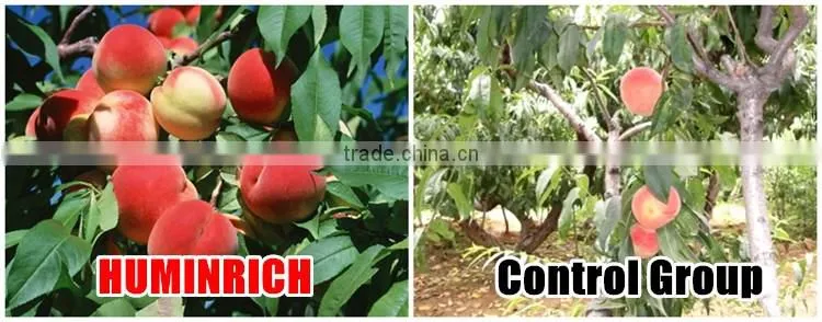 Huminrich Natural Compound Microelements Foliar Spray Fertilizer Organic Micronutrients For Plants