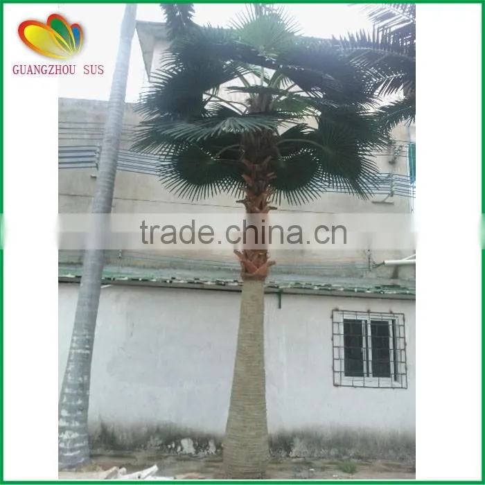Factory price artificial palm tree decorative tree artificial fan palm tree