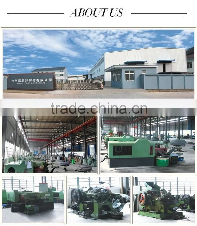 round/flat head steel rivet semi tubular horrow step rivet