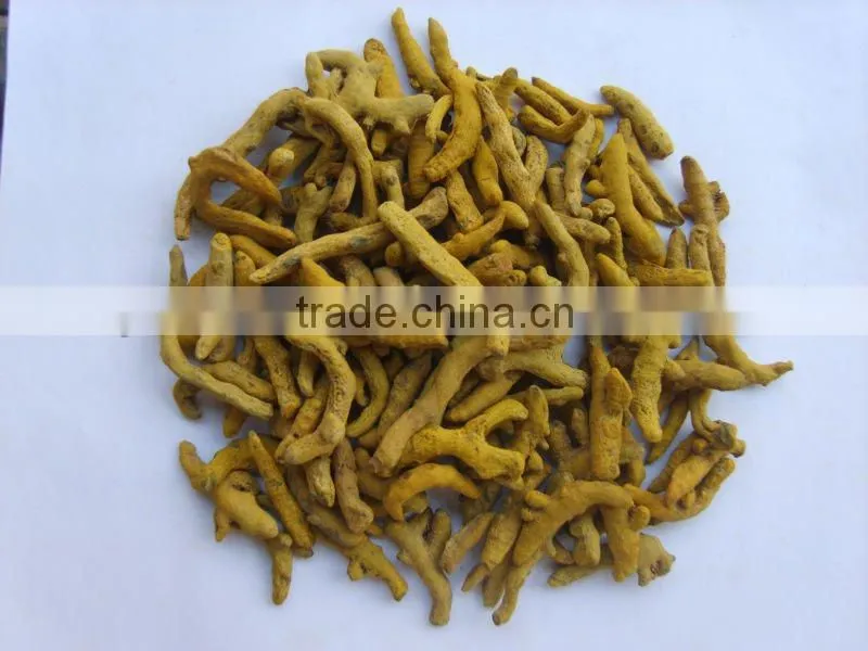 Fresh turmeric fingers
