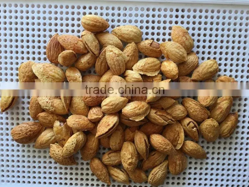 Good Taste Snack Roasted almond With Shell for Sales
