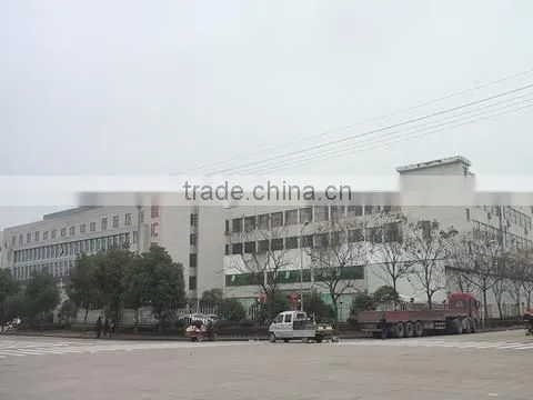 Zhejiang Longwise Technology Co., Ltd. company overview - view 1