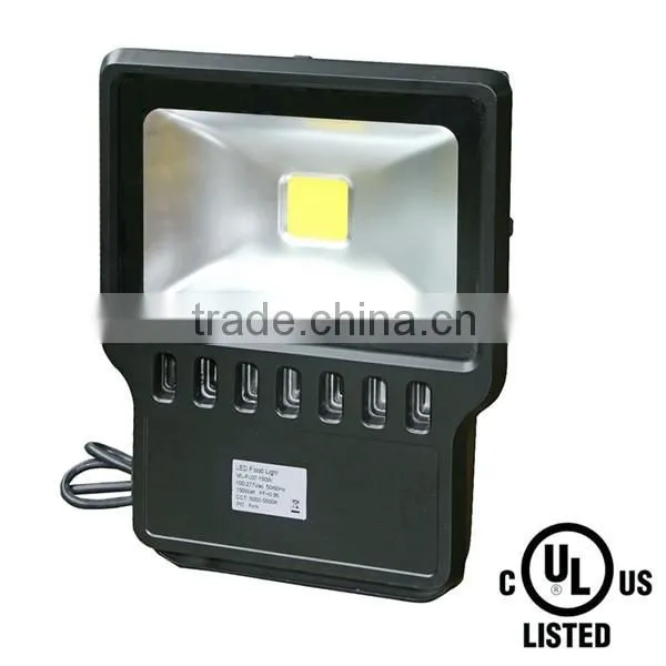 IP65 led outdoor lighting 100w led flood light with Mean Well Driver
