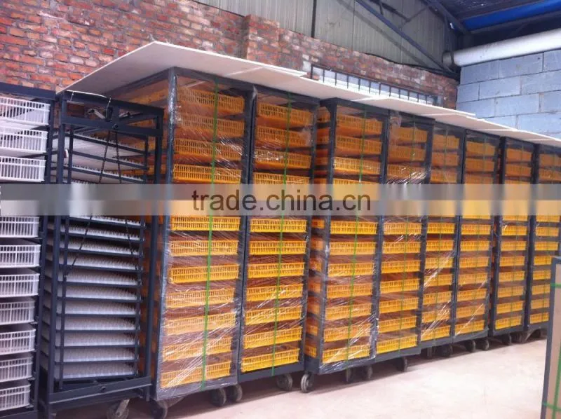 Incubateur pour les oeufs de caille/ incubateur capacity 33792 in Algeria