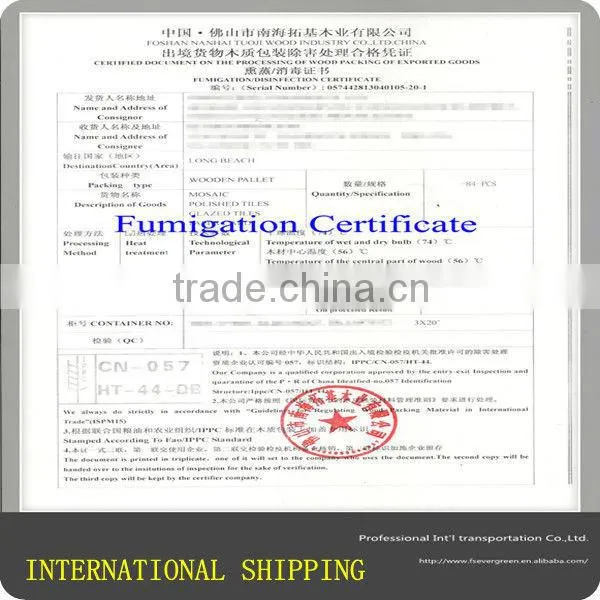 Guangzhou shenzhen 20ft shipping container price from china oman Sohar