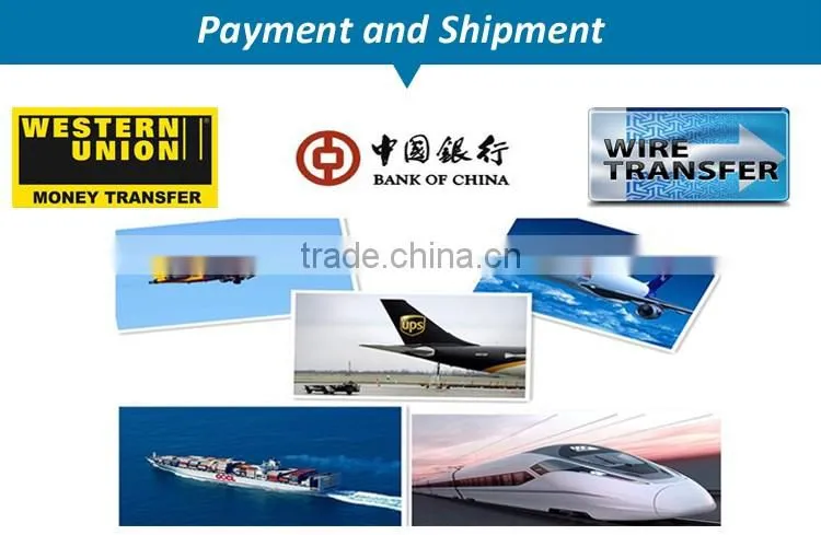 Excellent Portable Wireless Ultrasound Transducers for sale -WBU01