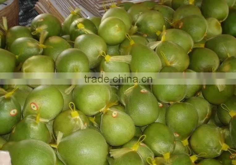 Vietnam Fresh Pomelo competitive price and High Quality