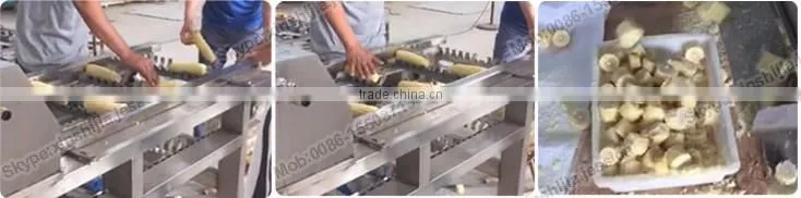 Good quality stainless steel sweet maize cutter