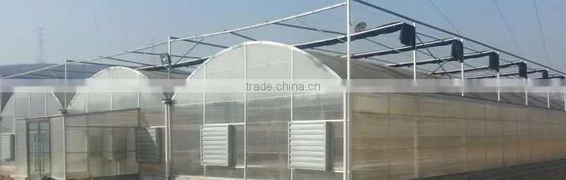 High-Quality Film Multi-Span Greenhouse, Arch-Type