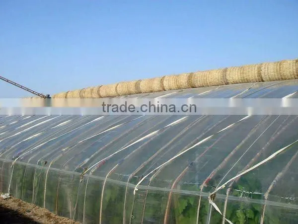 PE tunnel film agriculture plastic green houses