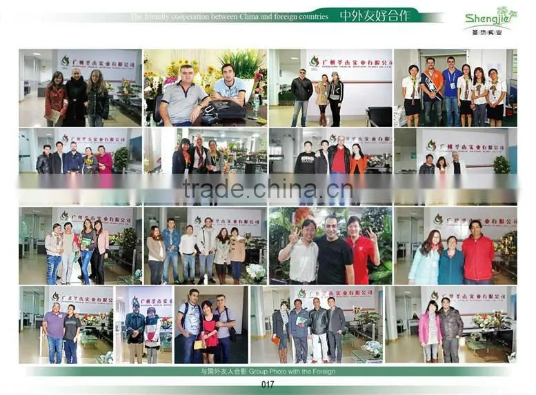 wholesale price decoration indoor artificial wall hanging plants and rocks