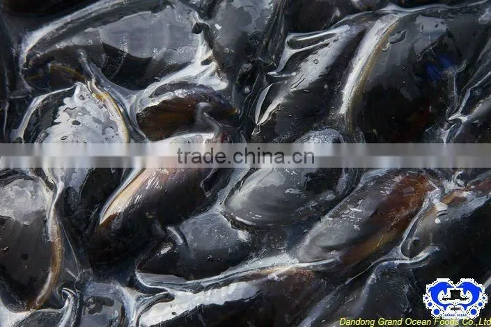 frozen bleu mussel meat