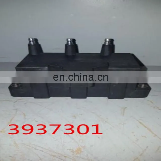 3937301.jpg