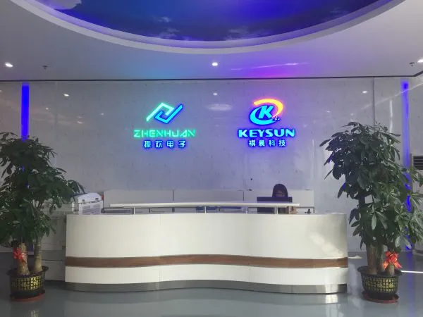 Shenzhen Keysun Technology Limited company overview - view 1