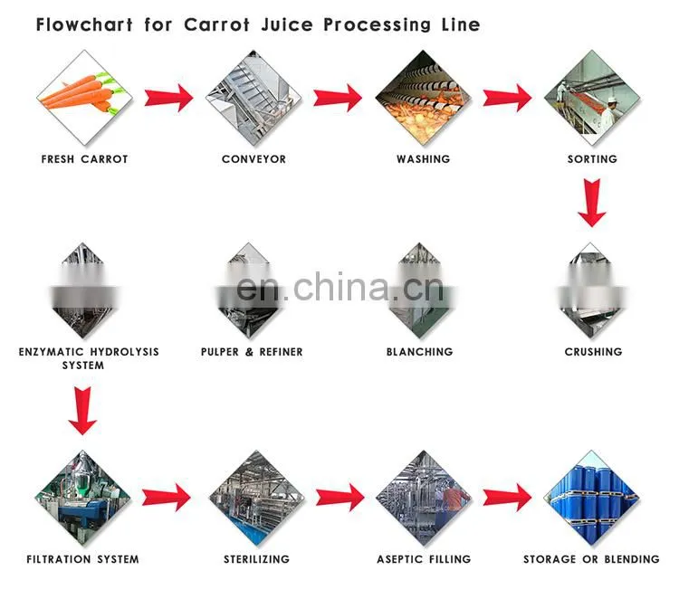 Industrial fruit and vegetable juice machine production line