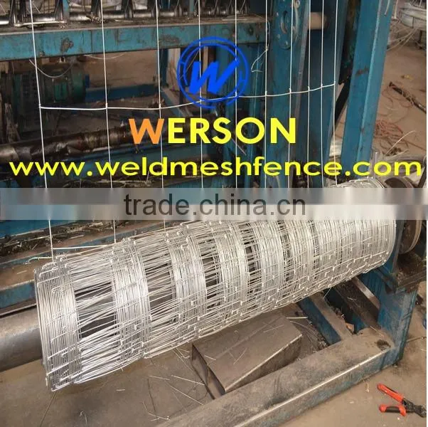 hot dipped galvanized Horse Fence,cattle fence| werson fence