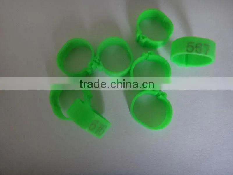 small plastic leg rings to distinguish chicken or birds