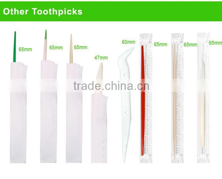 PP food grade pp plastic dental toothpicks