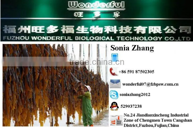 Comestic Usage Green Color Dried Whole Plant Part Kelp Seaweed Sheet