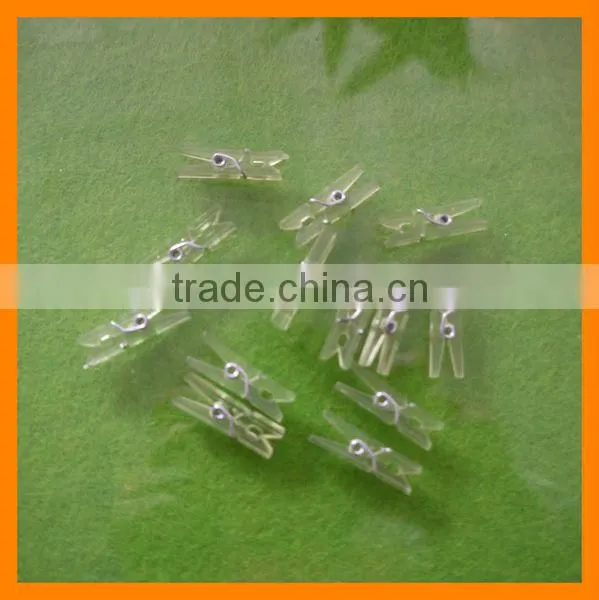 Small Transparent Plastic Peg