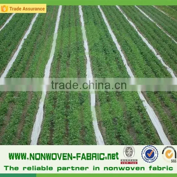 Biodegradable Agriculture PP Nonwoven Fabric