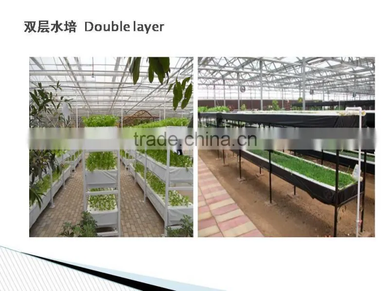 Greenhouse Hydroponics garden for vegetables