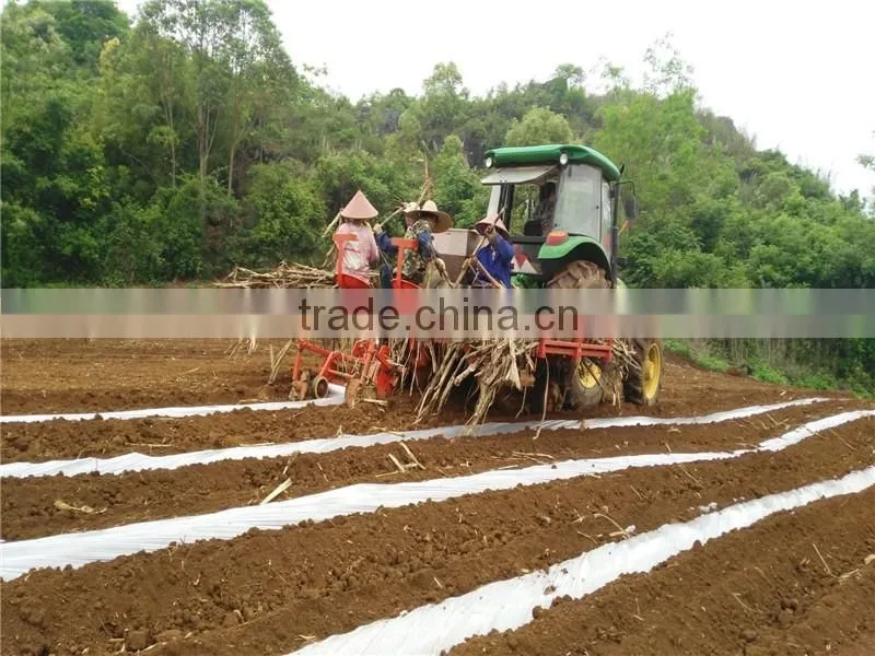 Automatic sugarcane seed planting machine/sugarcane planter/sugarcane planting machine 2CXZ-2