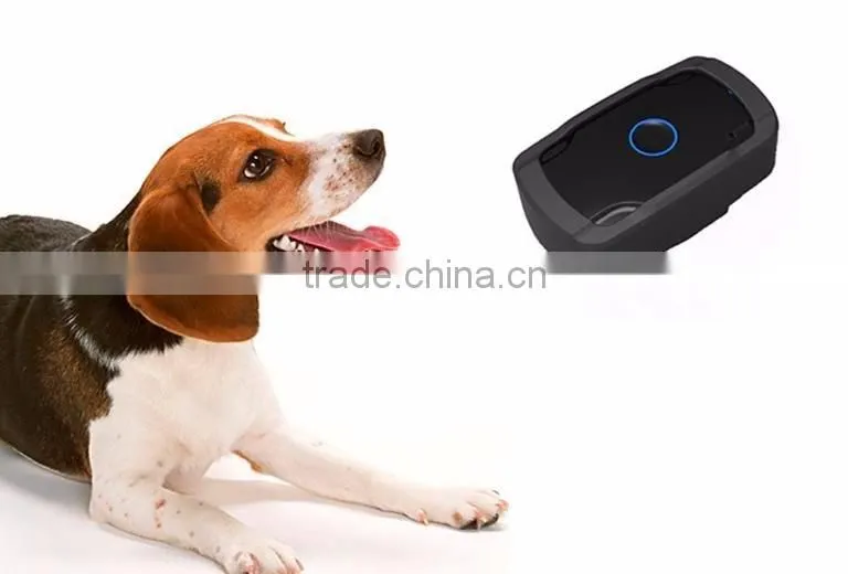 car dvr dual camera micro gps transmitter tracker Remote Control car GSM Alarm with mobile phone tracking software