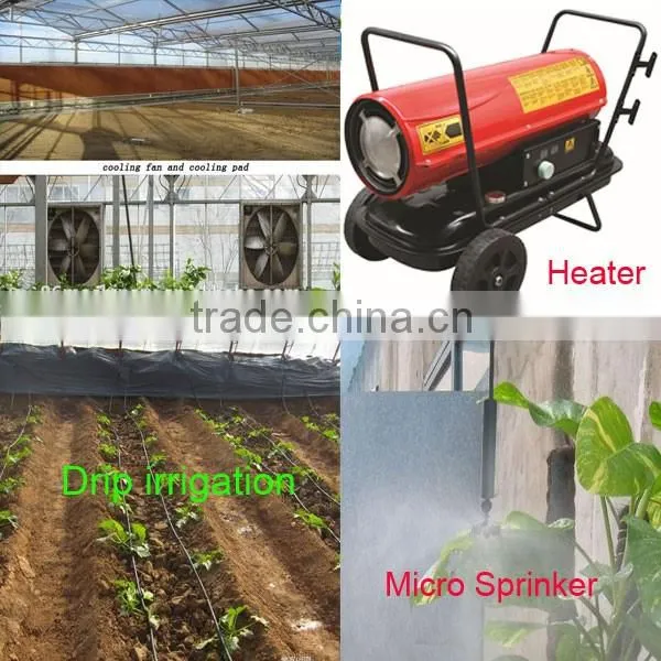Film Cover Material and PE Material small greenhouse wholesale