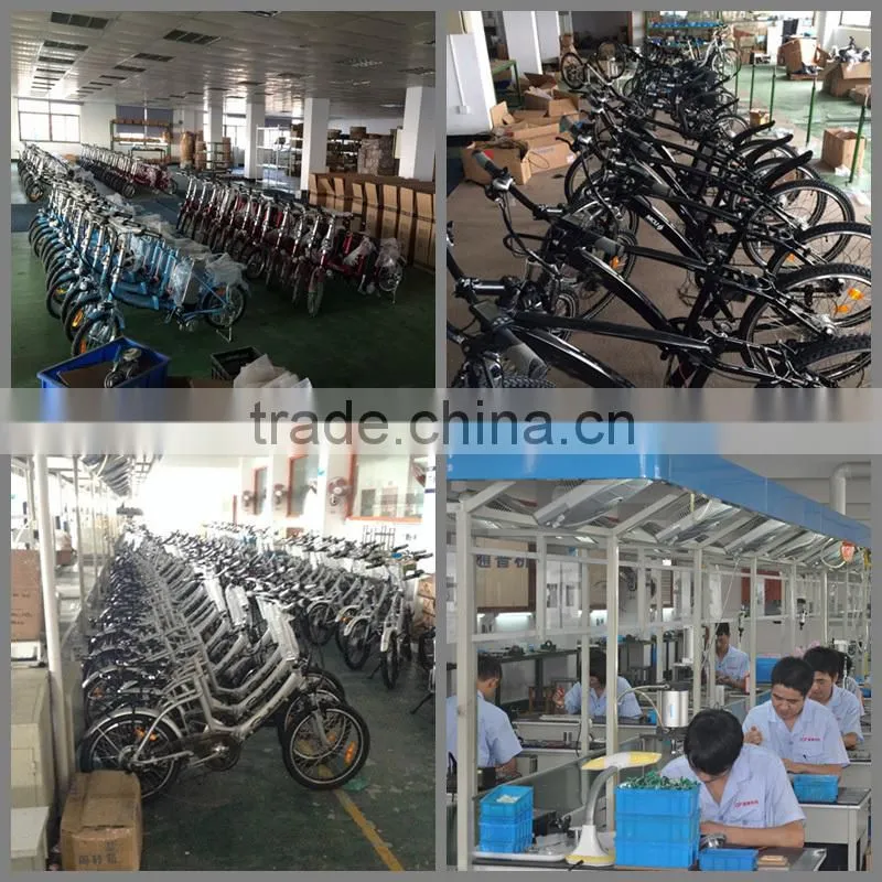 Easy Assemble Rear/Front Bicycle CE Certification Electric Bike Wheel Part 36V1000W Ebike Conversion Kit