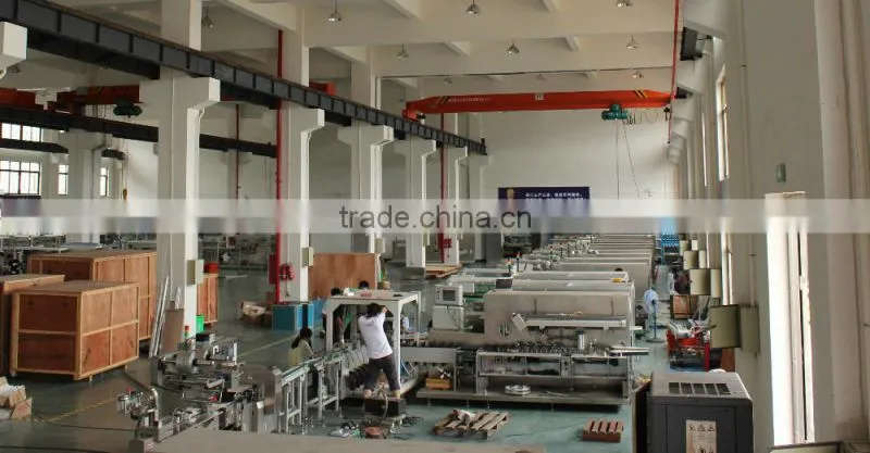 Automatic Blister Packing Production Line