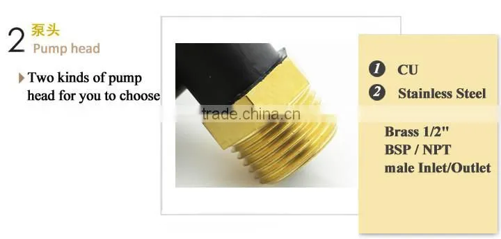 12V DC brushless SWH hot heat system pump