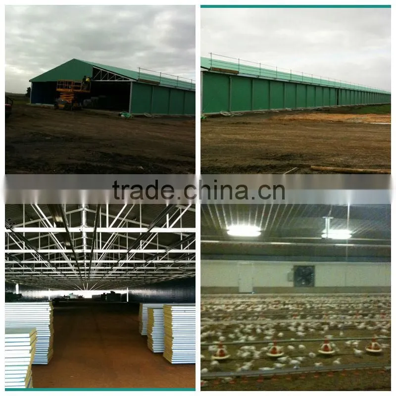 design chicken double floor shed poultry farm