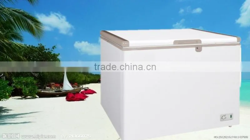 100-1700L Best Seller Chest Freezer