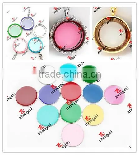 Wholesale Zinc Alloy Floats dog Lockets Charms for Halloween Gifts (FLC50822)