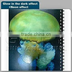 Printing - Screen Printing With Special Effect, Like Gold/Silver print,Glitter,Glow in dark,Sunlight
